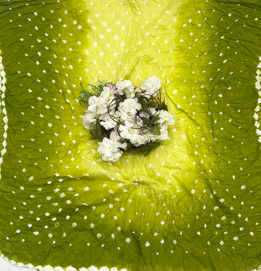 Jaipuri Green Suit Fabric / CKC Jaipuri Suits