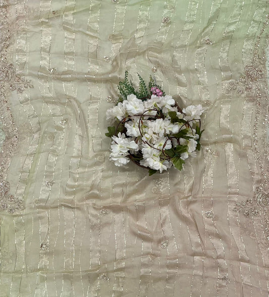 Shimmer Organza Beige With Green Suit Fabric/ CKC Partywear Collection